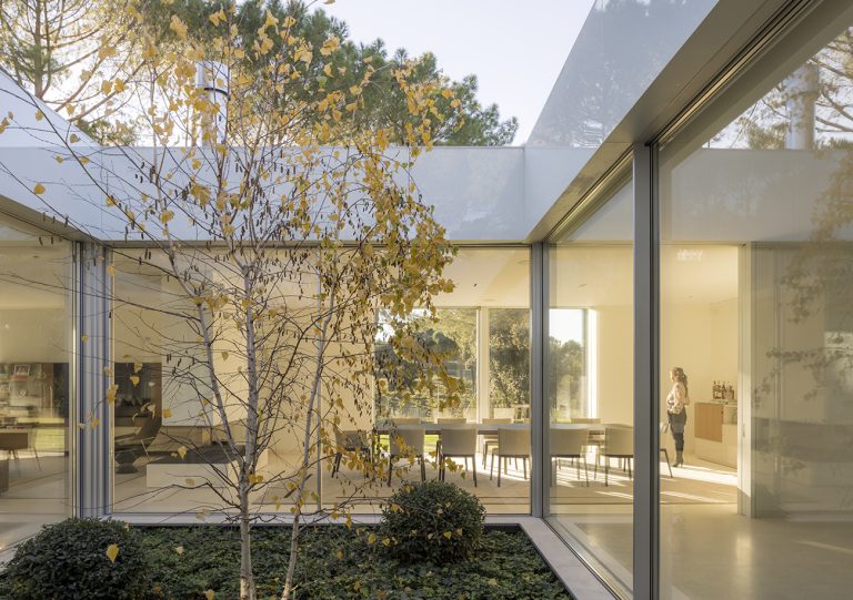 55_IMAGEN-10_1300x915-768x541