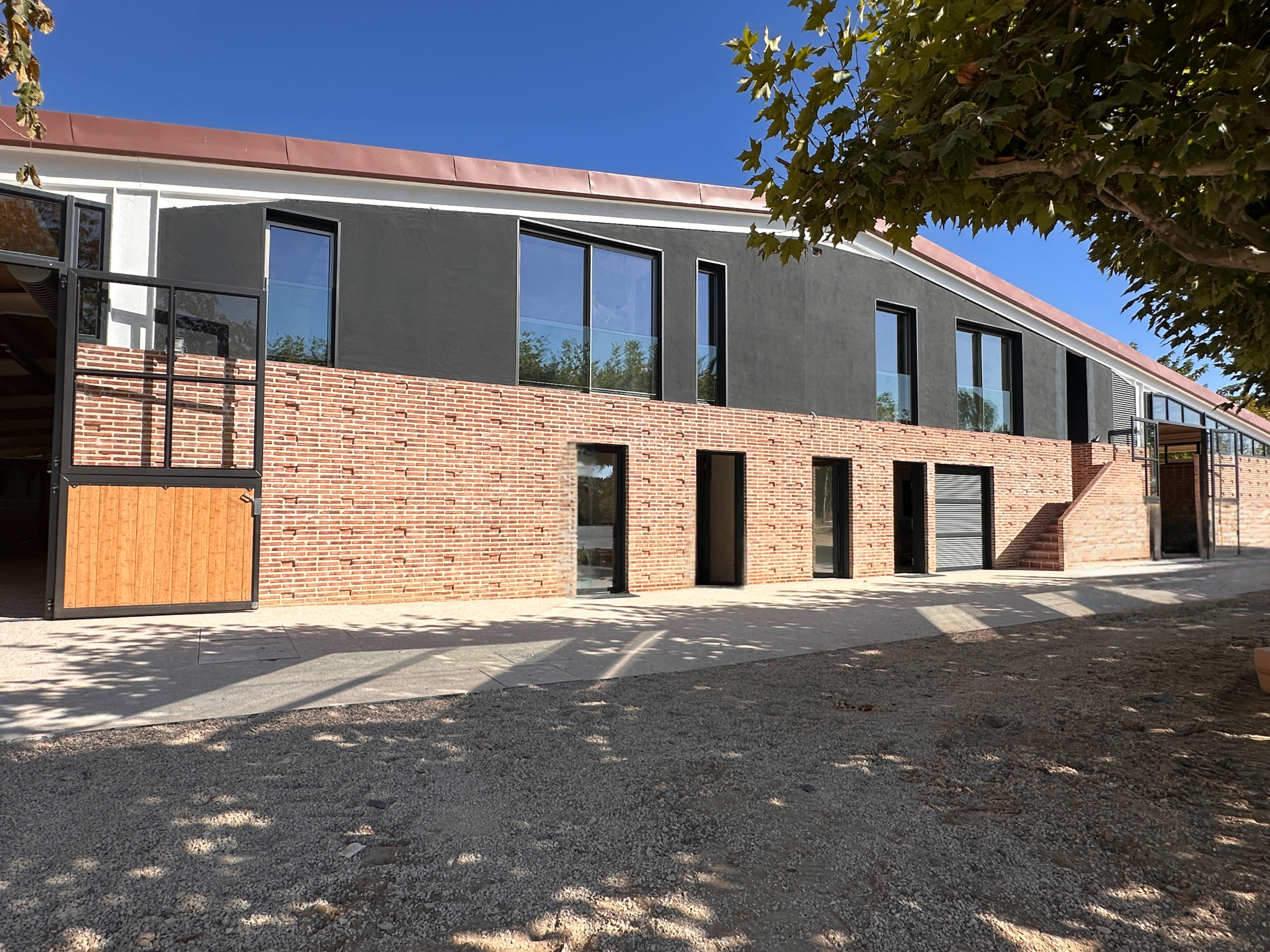 envato-labs-image-edit (8)